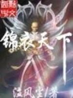 锦衣天下在线观看完整版免费